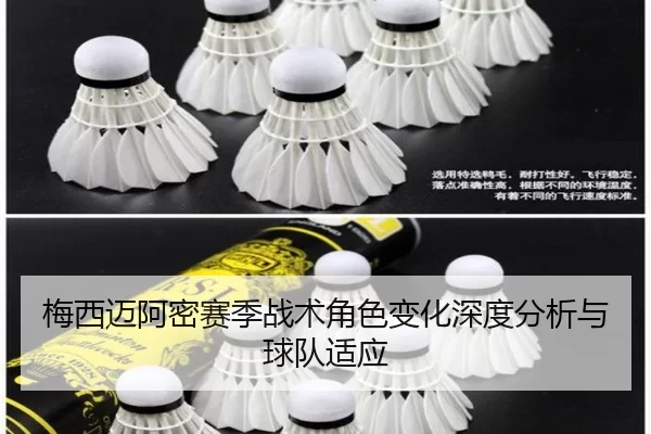 梅西迈阿密赛季战术角色变化深度分析与球队适应
